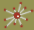 ComPADRE.org